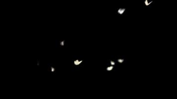 White Particles Floating on Black Background video