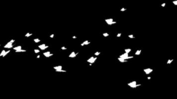 Monochrome Abstract White Shapes Background with Black Backdrop Artistic Design Element Paper Template Overlay and Spots Artistic Effect Wallpaper video