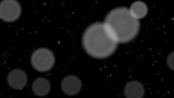 Abstract Glowing Gray Bubbles on Black Background video