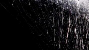 Intricate White Spiderweb on Black Background video