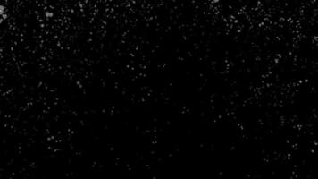 Falling Snow Animation on a Black Background White Winter Flakes Creates a Cold Festive Atmospheric Effect video