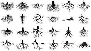 Tree and Plant Root Black Silhouette Bundle vector
