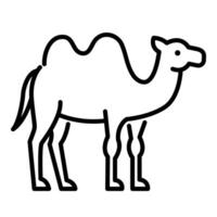 Camel line illustration vector