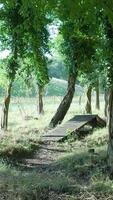A wooden bridge in the middle of a field video