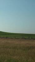 A field with a fence and a lone horse video
