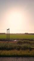A field with a power pole in the middle of it video