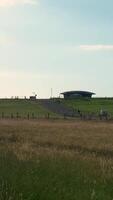 A large grassy field with a building in the distance video