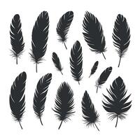 Black silhouettes of bird feathers of different shapes and sizes. Large set of different feathers. Concept of spirituality, freedom and creativity. vector