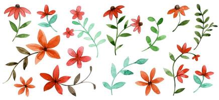Watercolor floral patterns and designs vector