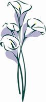 Elegant Calla Lily Bouquet Illustration vector