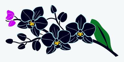 Dark Blue Orchid Branch Illustration, Floral Design vector
