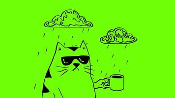 2d Animation cartoon character drawing of a fat cat with coffee mug under rain cloud raining on white, black and green screen in 4k ultra-high-definition. video