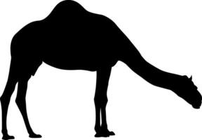 Silhouette of a camel grazing, monochrome desert animal profile vector