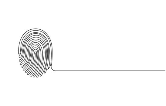 Single-line fingerprint icon for security and identification concepts vector