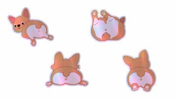 Funny and Cute Corgi Butts. Heart Design Dog Characters. Alpha channel transparency video