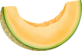 Melon slice painted for summer png