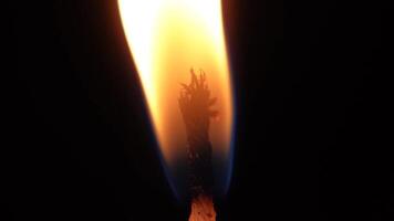 A detailed macro photograph showing a candle wick burning on black background, emphasizing warmth, energy, and illumination. The candle flame went out when blown out video