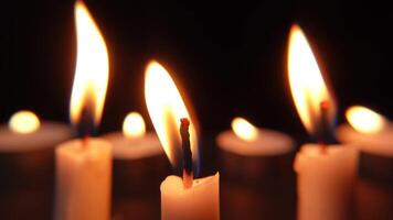 A lot of burning candles on black background. Bright candle flames glowing in darkness, enhancing the sense of warmth, peace, and tranquility. video