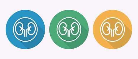 Three flat icons with kidney symbols in blue green and orange circles vector