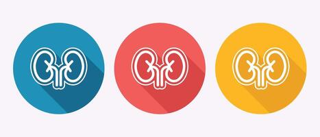 Three kidney icons in blue red and yellow circles with shadows vector