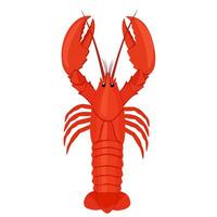 red lobster illustration in a flat design, viewed from the front. Ideal for seafood menus, restaurant icons, marine graphics, and culinary themes vector