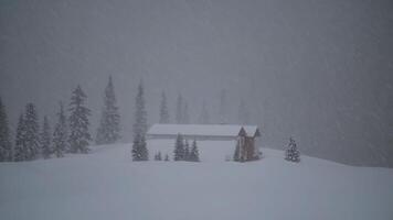 Heavy snow blanketing a mountain chalet and surrounding pine trees during a blizzard, creating a serene and captivating winter landscape filled with tranquility and solitude video