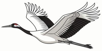 Stunning Red Crowned Crane Flying Graceful Bird Illustration Wildlife Design Element vector