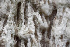 Closeup of a white textured limestone formation with natural grooves and cavities, resembling a stalactite or stalagmite surface in a cave. photo