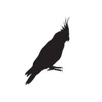 Black silhouette of a cockatiel bird perched on a white background silhouette isolated on white background vector