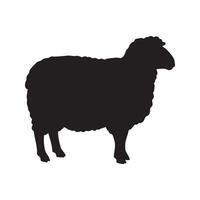 Black sheep silhouette standing profile isolated on white background silhouette vector