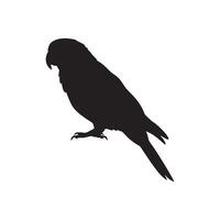 Silhouette of a parrot on white background vector