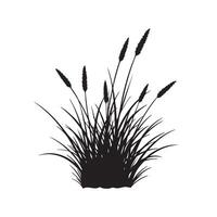 Silhouette of grass on a white background vector
