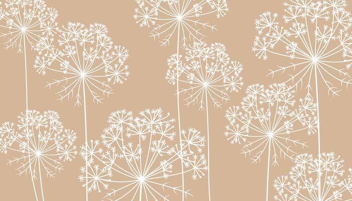Hand drawn white carrot flowers on beige rustic background