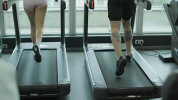 Man and woman doing fitness exercises in gym. Strength, endurance and training focus in modern fitness center 56 video