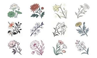 A set of flowers and leaves in different colors vector