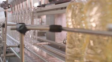 Sunflower oil in the bottle moving on production line. Bottling line of sunflower oil in bottles. Vegetable oil production plant. High technology. Industrial background 20 video