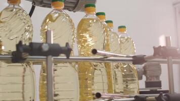 Sunflower oil in the bottle moving on production line. Bottling line of sunflower oil in bottles. Vegetable oil production plant. High technology. Industrial background 12 video