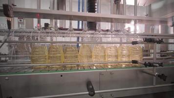 Sunflower oil in the bottle moving on production line. Bottling line of sunflower oil in bottles. Vegetable oil production plant. High technology. Industrial background 21 video