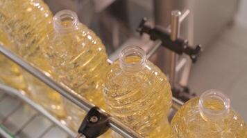 Sunflower oil in the bottle moving on production line. Bottling line of sunflower oil in bottles. Vegetable oil production plant. High technology. Industrial background 10 video