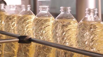 Sunflower oil in the bottle moving on production line. Bottling line of sunflower oil in bottles. Vegetable oil production plant. High technology. Industrial background 15 video