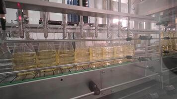 Sunflower oil in the bottle moving on production line. Bottling line of sunflower oil in bottles. Vegetable oil production plant. High technology. Industrial background 18 video