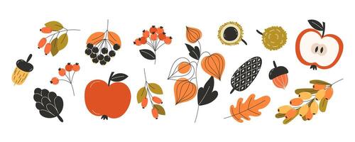 Large collection of autumn fall fruits berries and nuts in flat style featuring apples red berries acorns leaves and seasonal harvest elements for decorative design vector