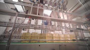 Sunflower oil in the bottle moving on production line. Bottling line of sunflower oil in bottles. Vegetable oil production plant. High technology. Industrial background 22 video