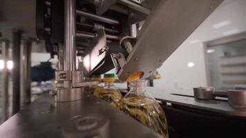 Sunflower oil in the bottle moving on production line. Bottling line of sunflower oil in bottles. Vegetable oil production plant. High technology. Industrial background 24 video
