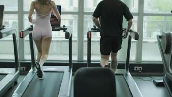 Man and woman doing fitness exercises in gym. Strength, endurance and training focus in modern fitness center 57 video
