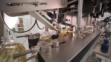 Sunflower oil in the bottle moving on production line. Bottling line of sunflower oil in bottles. Vegetable oil production plant. High technology. Industrial background 11 video