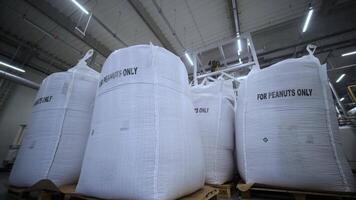 Large bags of peanuts at a large peanut processing factory video