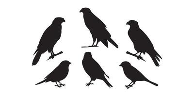 Crow Silhouettes in Flying and Landing Positions vector