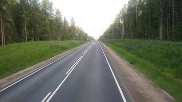 Recording the movement on the phone. The passenger's view of the smooth, beautiful road through the forest. video