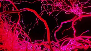 A red light is shining on a tree veins background video